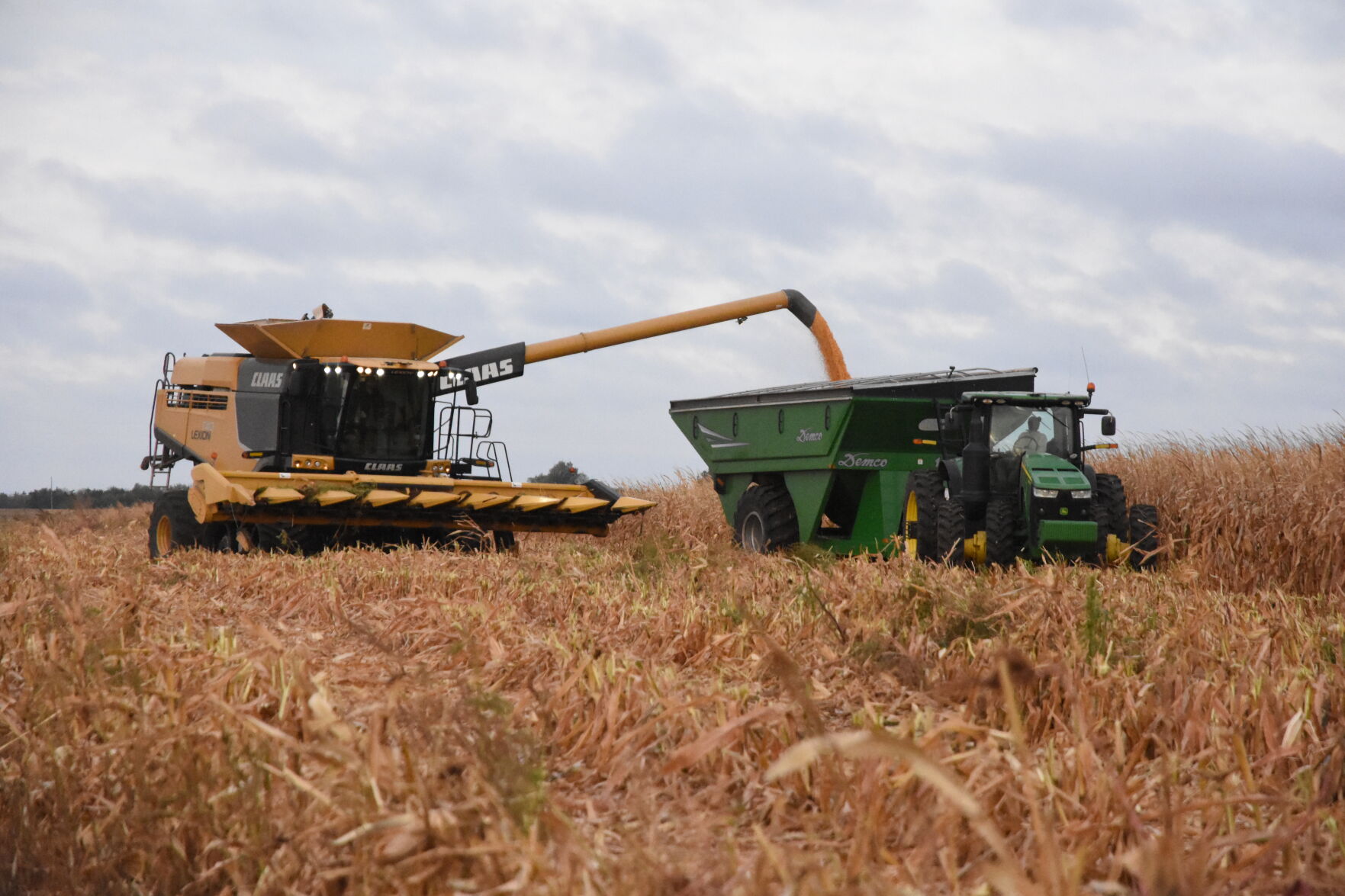 Rempel Harvest (35).JPG